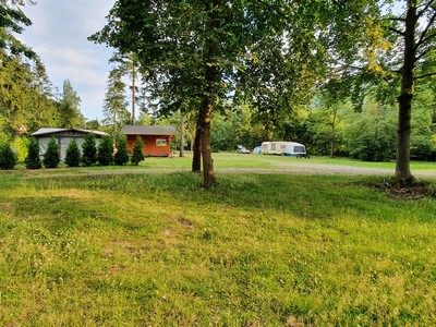 Trawiaste miejsca dla gości w cieniu wysokich drzew